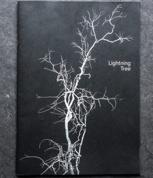 TONK_Lightning-Tree-1