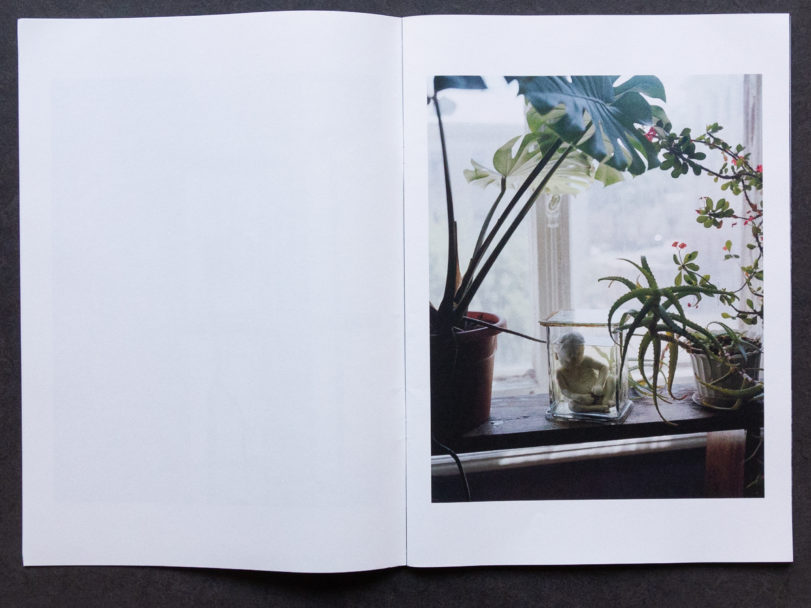 TONK_Lightning Tree-2