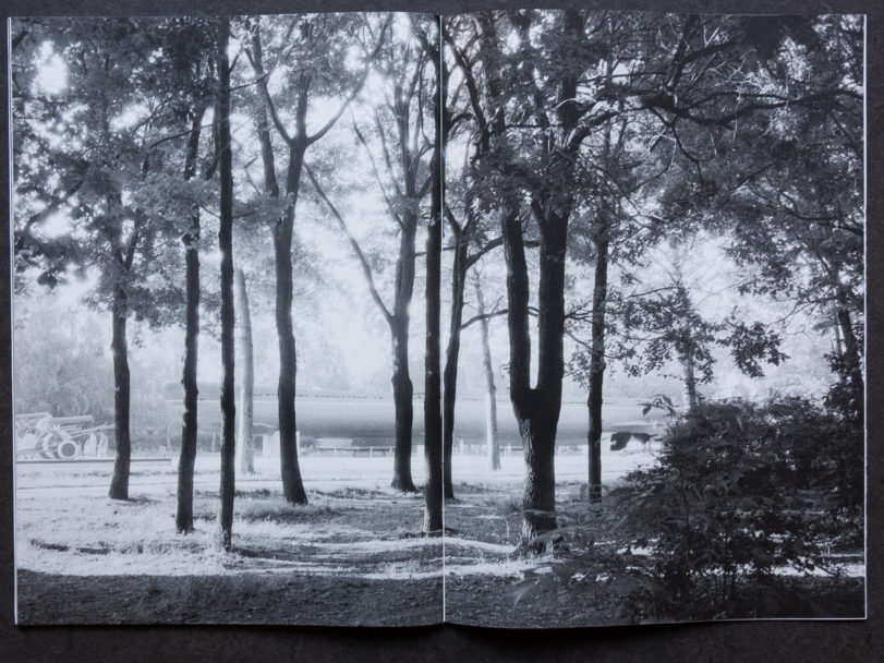 TONK_Lightning Tree-7