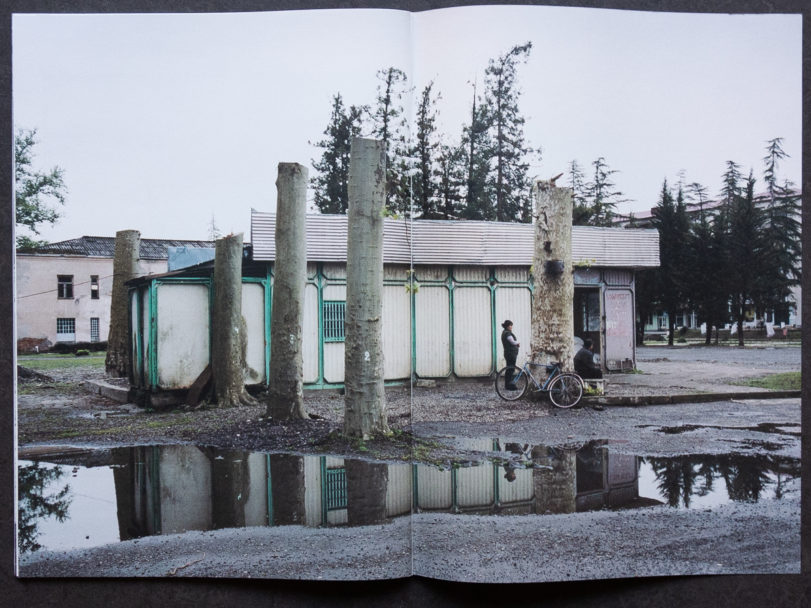 TONK_Lightning Tree-8