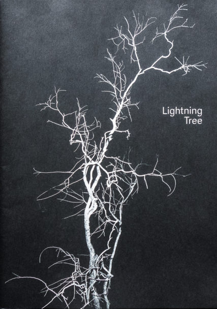TONK_Lightning Tree-COPERTINA