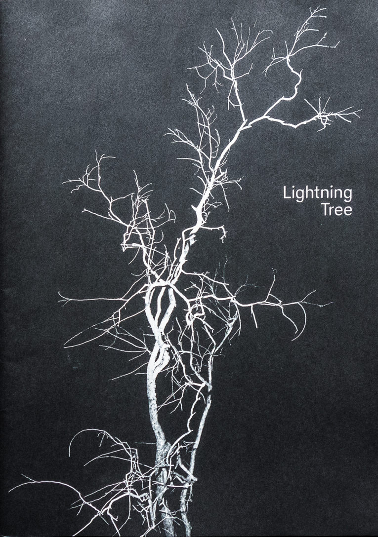 LIGHTNING TREE – Leporello