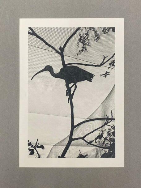 WhatsApp Image 2024-07-18 at 16.59.39 (1)