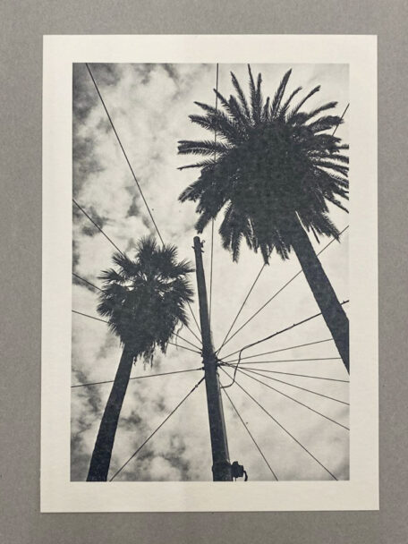 WhatsApp Image 2024-07-18 at 16.59.39 (3)