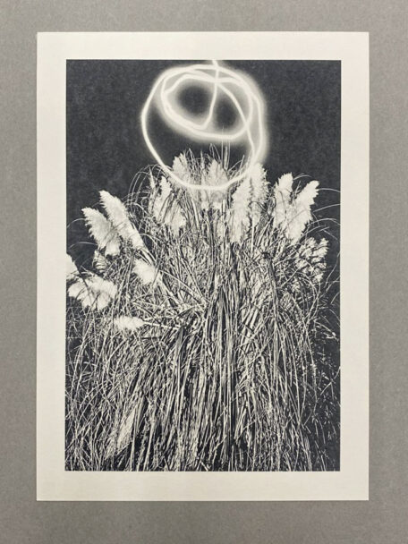 WhatsApp Image 2024-07-18 at 16.59.39 (4)