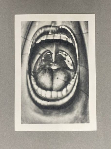 WhatsApp Image 2024-07-18 at 16.59.39