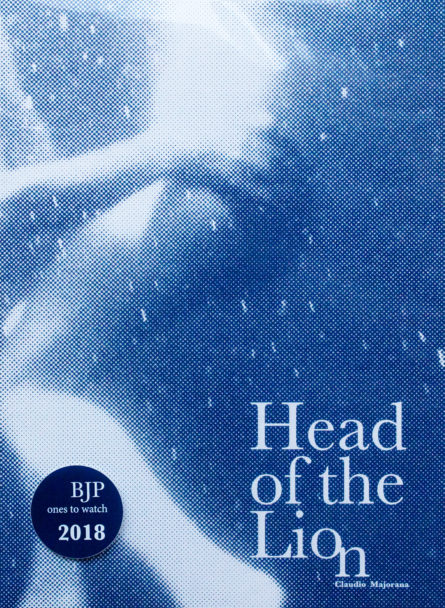 Head of the lion-0205