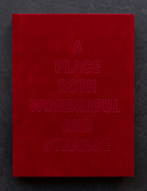 Pidgeon photography-0108