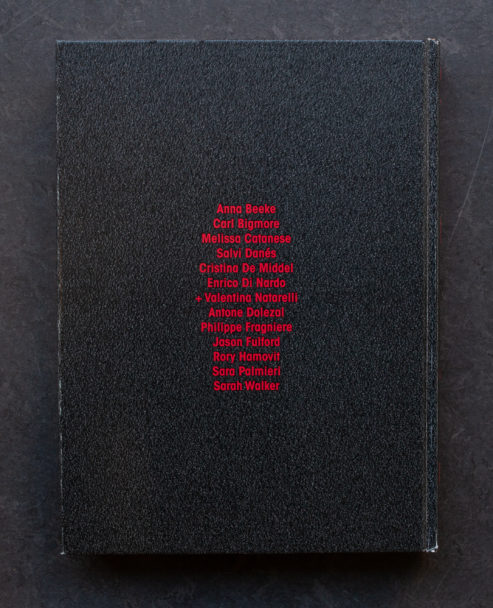 Pidgeon photography-0109