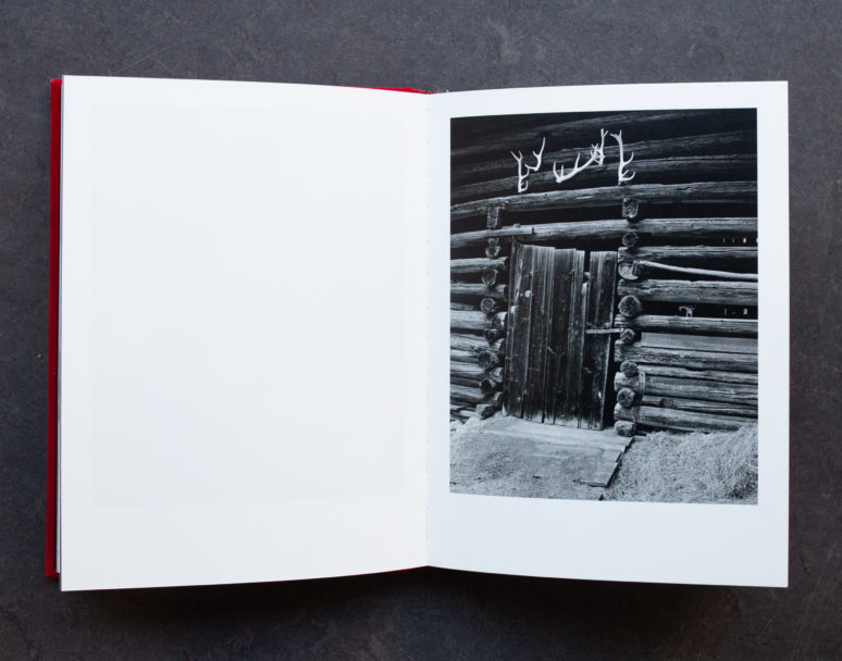 Pidgeon photography-0111