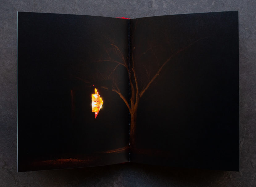 Pidgeon photography-0112