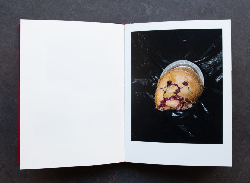 Pidgeon photography-0113