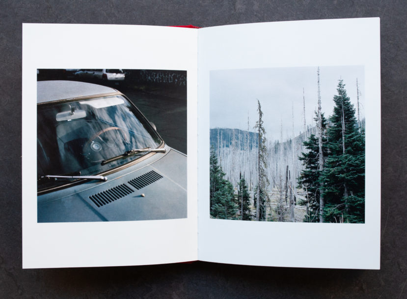 Pidgeon photography-0114