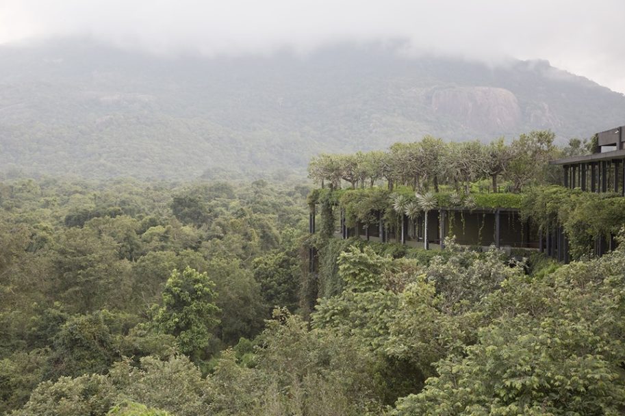 60343469_2342973105767531_8270608274668126208_n