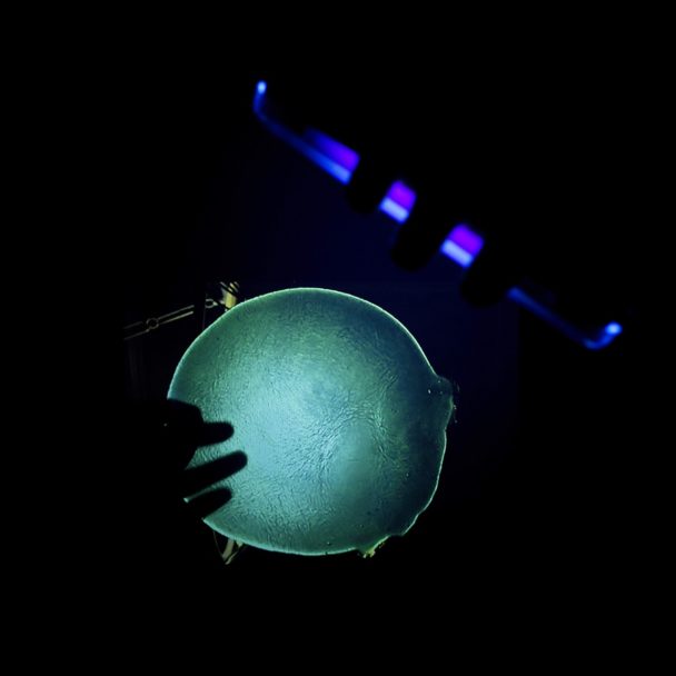 thumbnail_Giorgio.DiNoto_TheIceberg_07