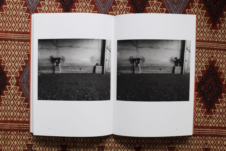 libri per sito033 copia