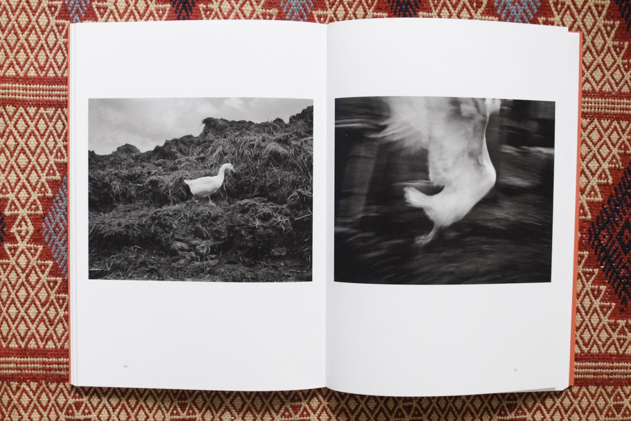 libri per sito034 copia