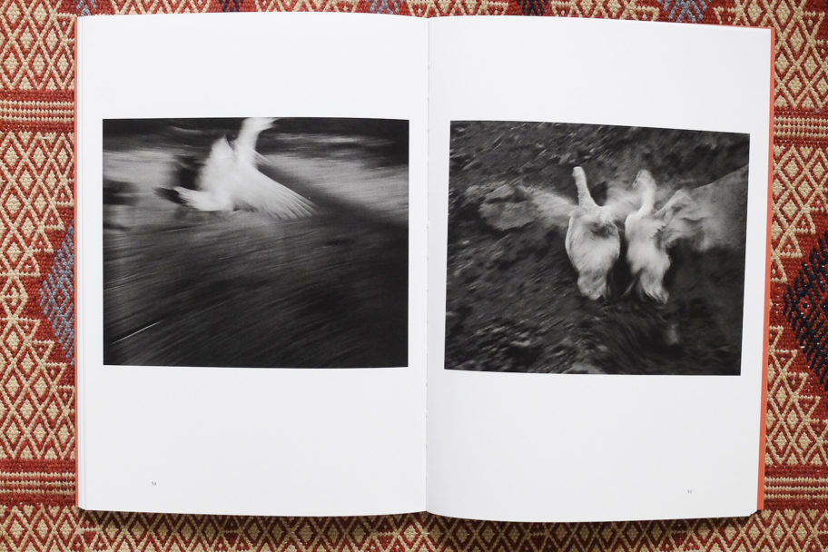 libri per sito035 copia