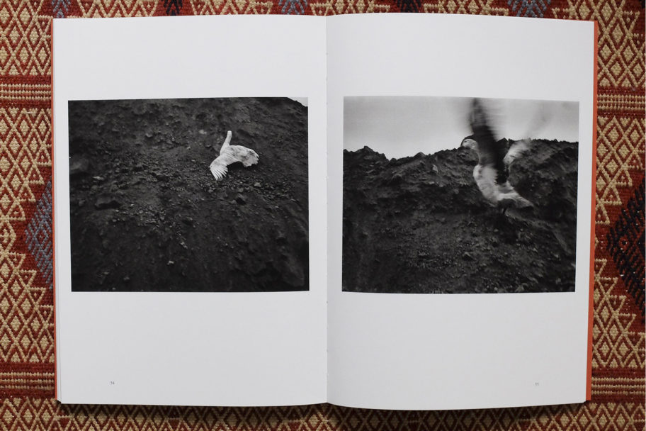 libri per sito036 copia