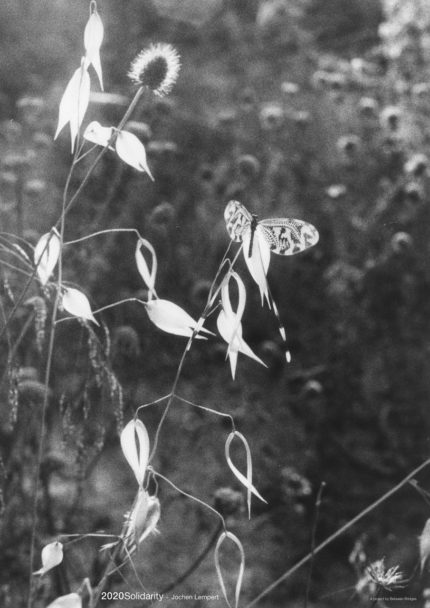 2020Solidarity_Lempert, Jochen_Final_A4
