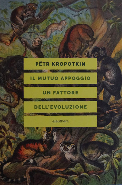 libri per sito_9 aprile17 copia