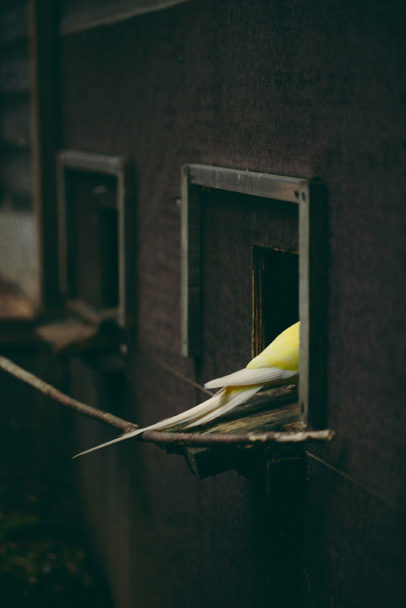 Francesca-Todde_A-Sensitive-Education_06