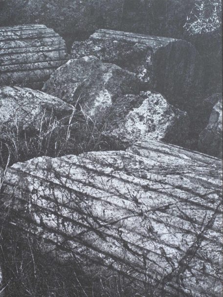 1099-frontcover-RG8_1050