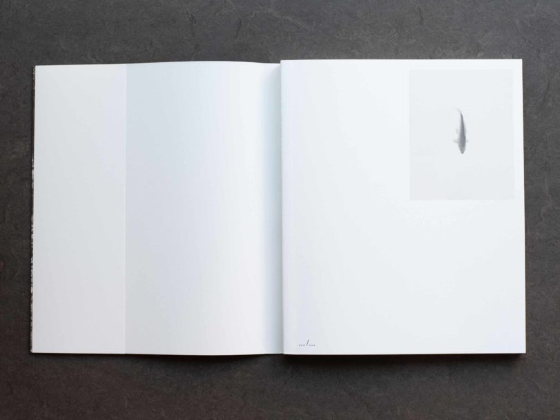 1099-inside-RG8_1052