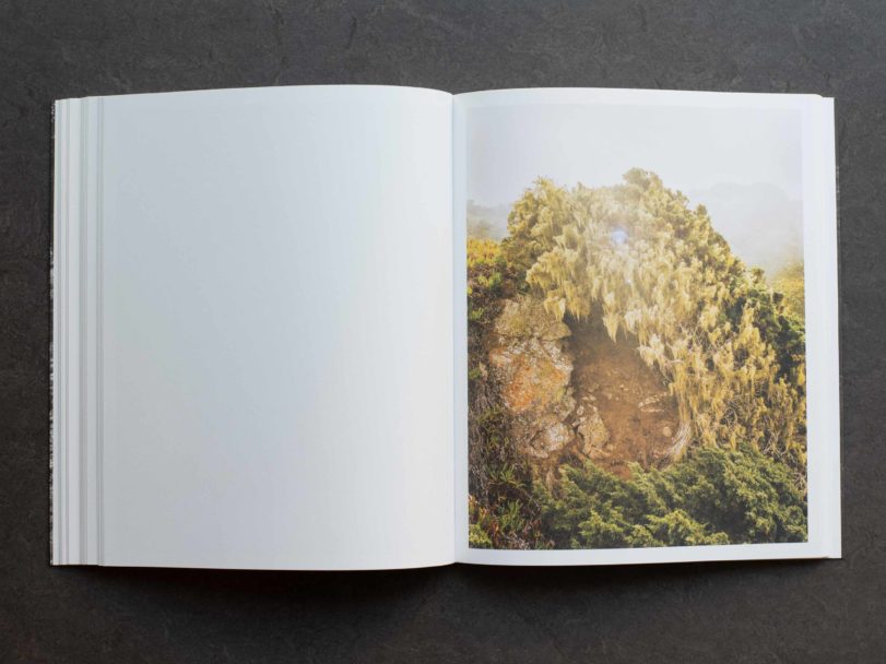 1099-inside5-RG8_1059