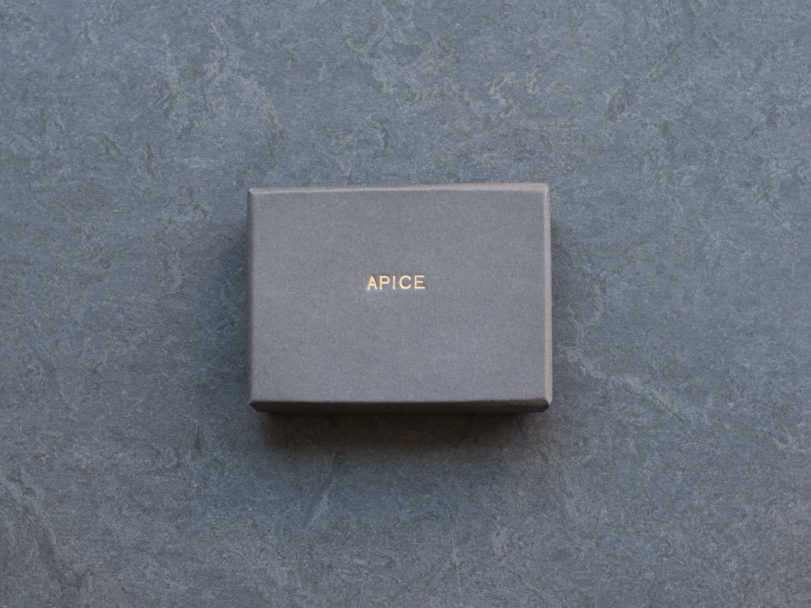 APICE-Valeria Laureano-frontcover