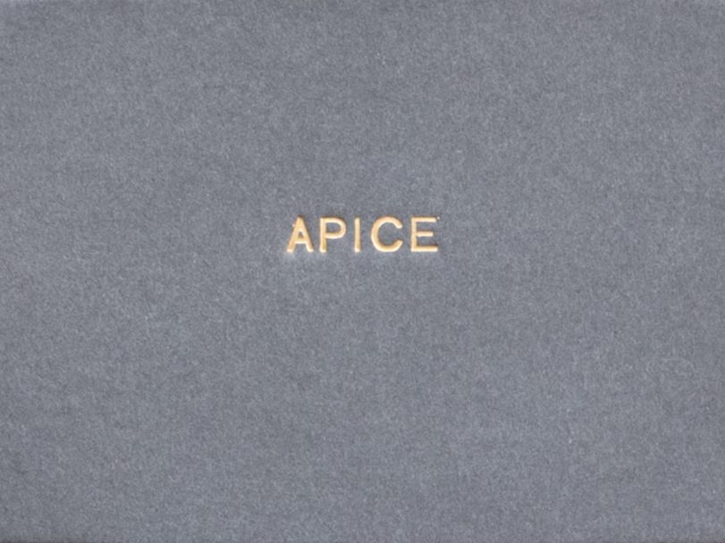 APICE-Valeria Laureano-frontcover1