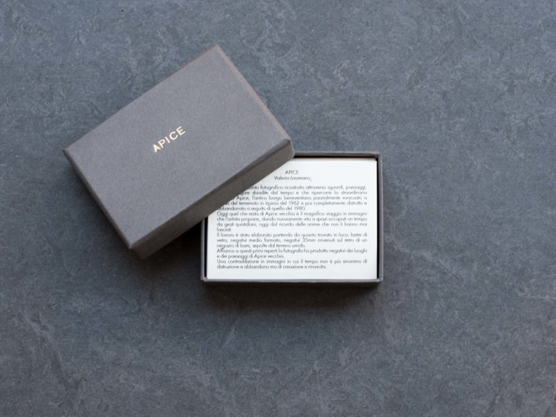 APICE-Valeria Laureano-inside1?