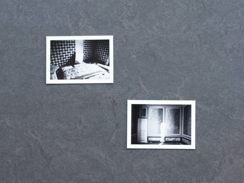 APICE-Valeria Laureano-inside2