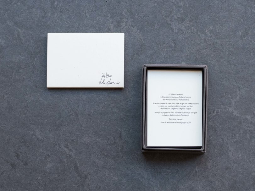 APICE-Valeria Laureano-inside3