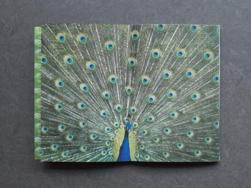 Bakeca-inside3-RG8_1486