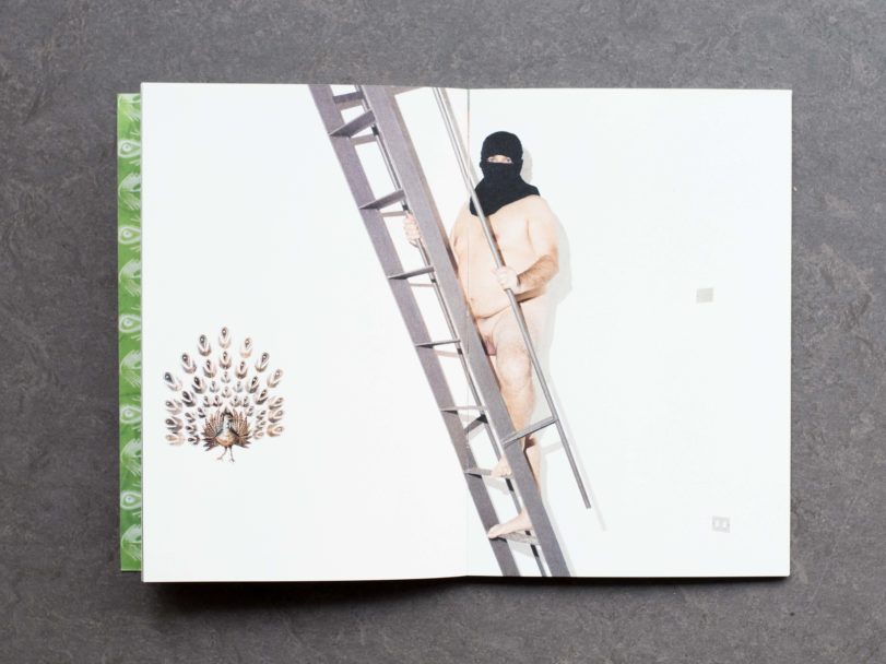 Bakeca-inside5-RG8_1493