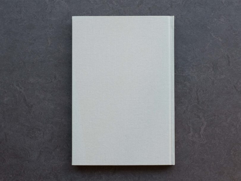 IN THIS DARK WOOD-Elisabeth Tonnard-back