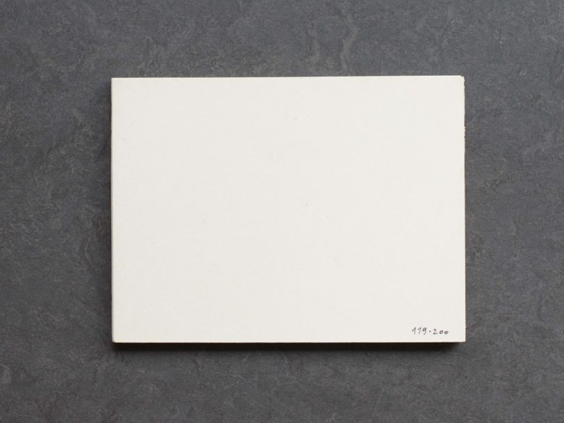 demons-back-RG8_1521