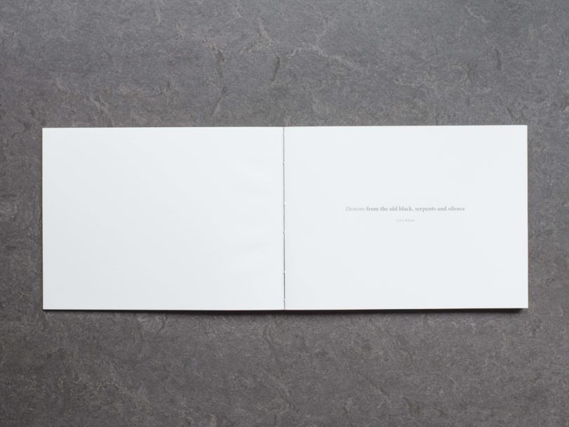 demons-inside1-RG8_1502