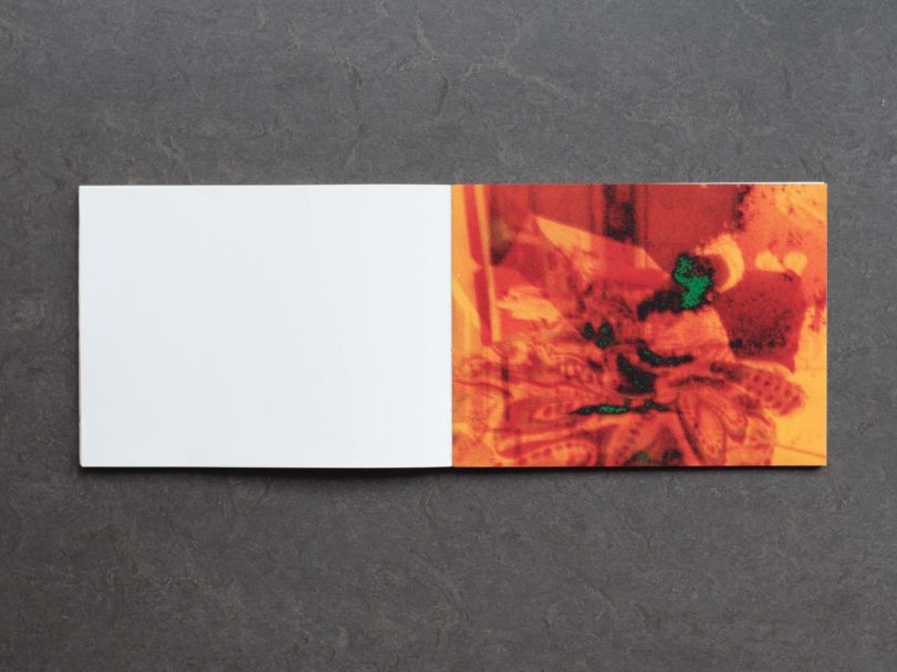 demons-inside4-RG8_1514