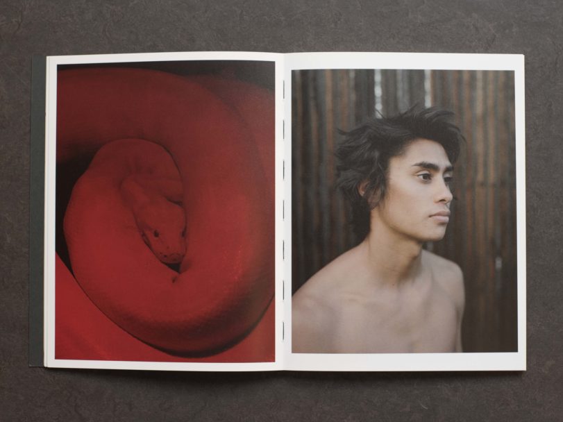 radici-inside2-RG8_877