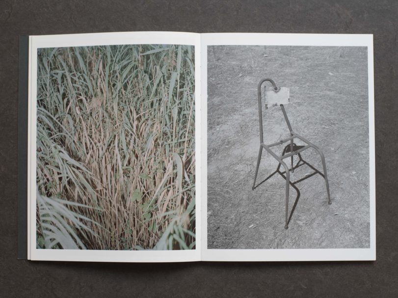 radici-inside3-RG8_878