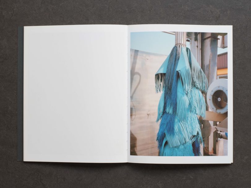 radici-inside4-RG8_879