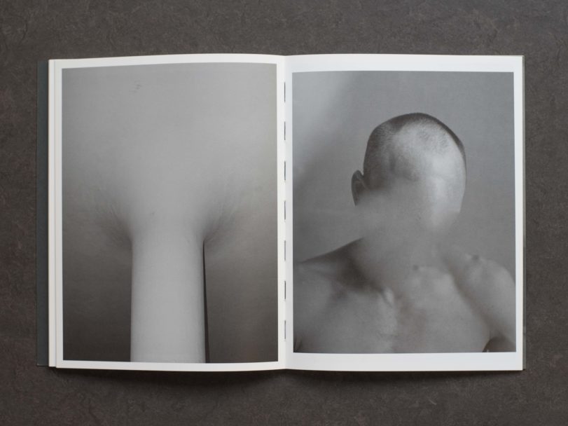 radici-inside5-RG8_880