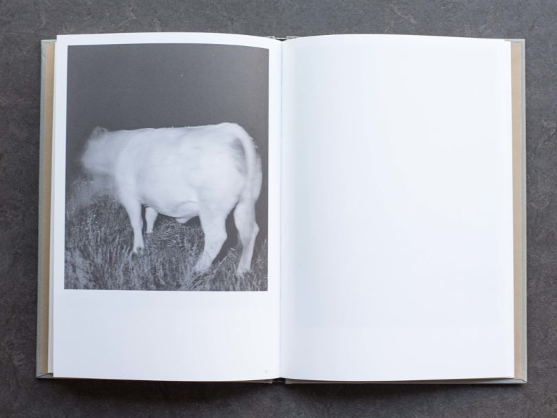 turistica-carlo rusca-inside3.RG8_0619