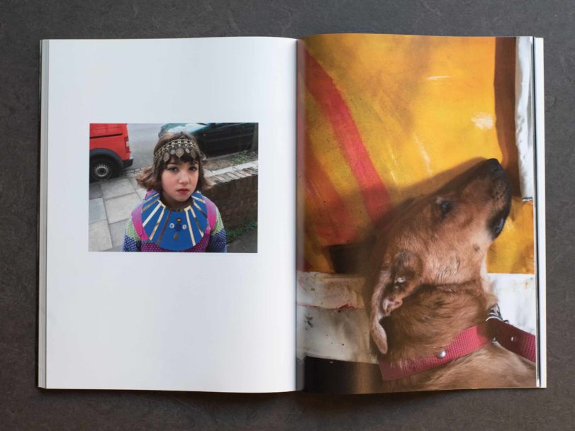 bill 1-inside5-RG8_2104