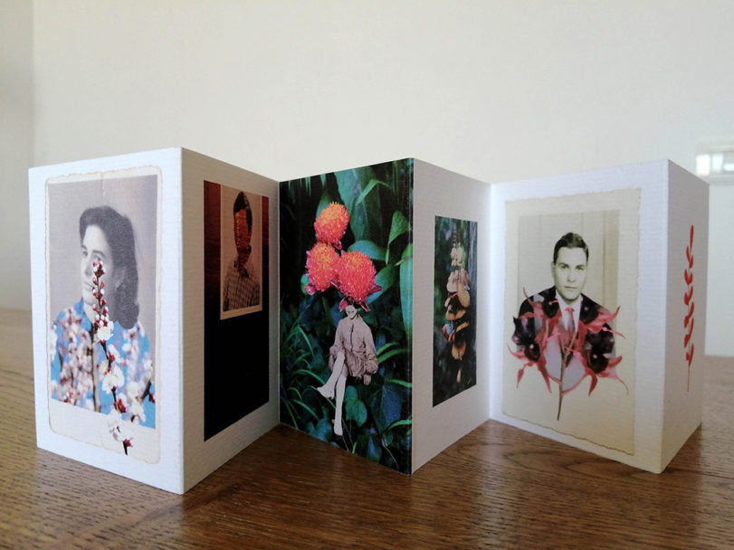 chiara_bruni_family_tree