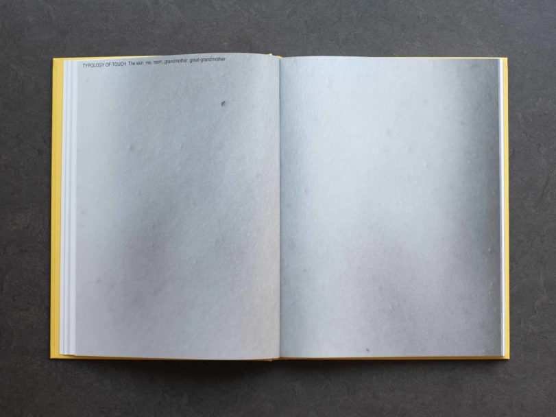 flowersmuggler-inside3-RG8_1102