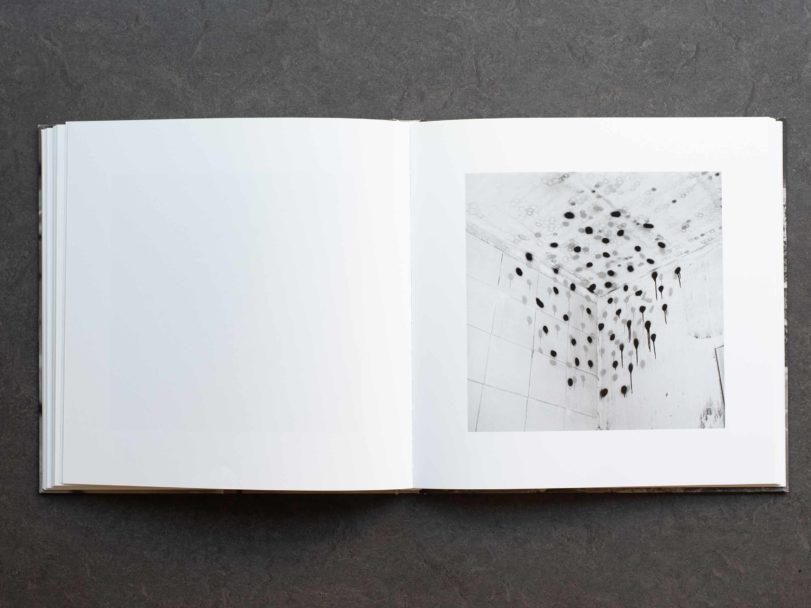 vandalism-inside3-RG8_2007