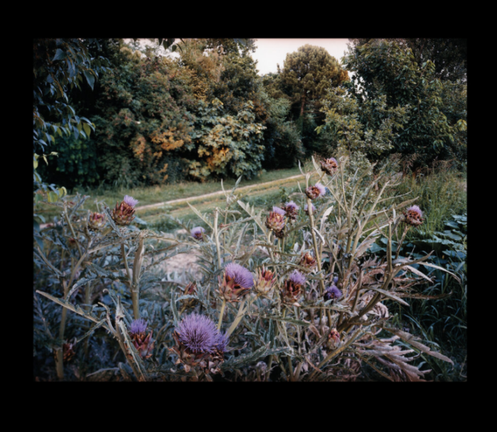 Screen Shot 2020-12-22 at 00.23.38